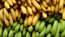 In the UK, the general public throws away 1.4 million edible bananas every day